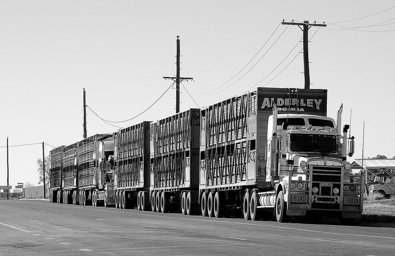 camion1detail